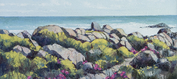 Spring Flowers, West Coast | 2017 | Oil on Canvas | 44 x 62 cm